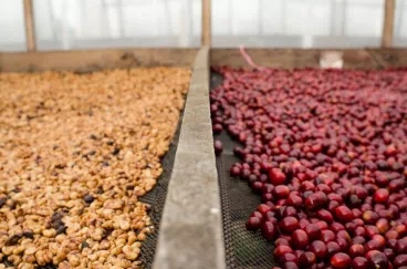 20200726_052339588_iOS