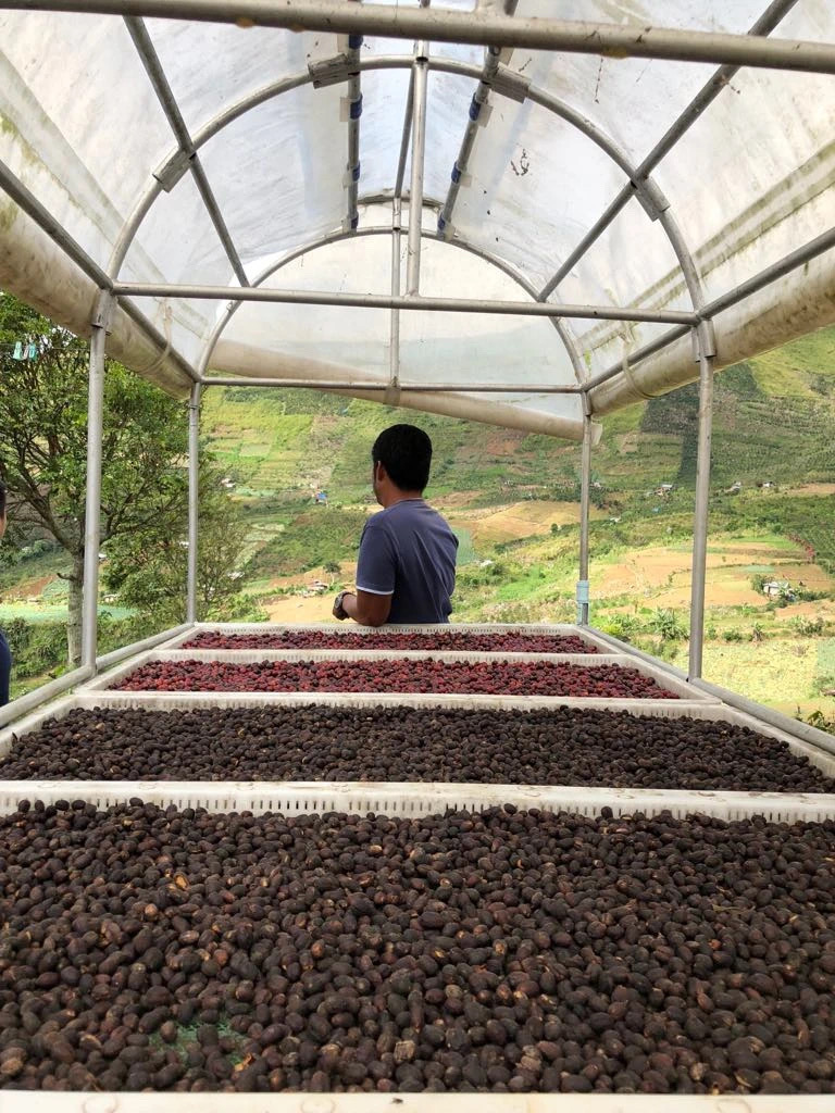 20200801_050545854_iOS