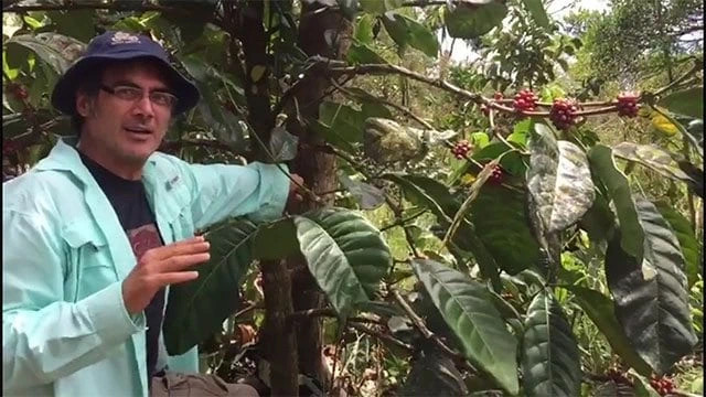 20200801_050553694_iOS