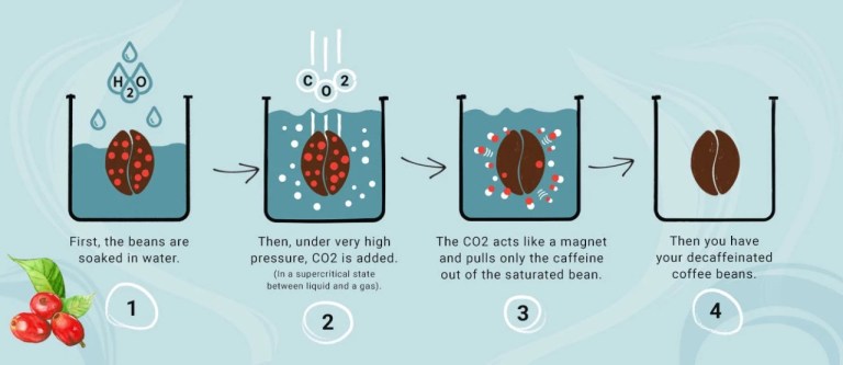 20200805_125551551_iOS