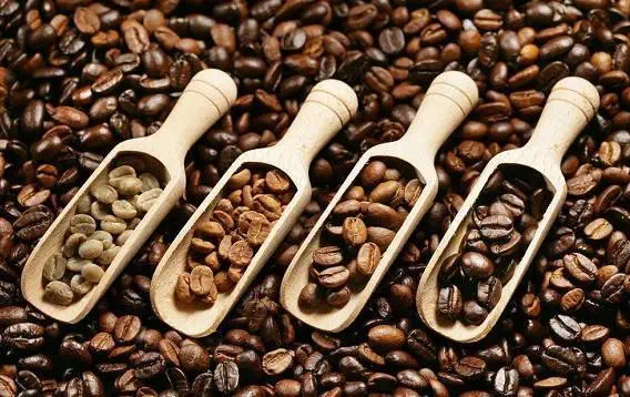 20200805_125658693_iOS