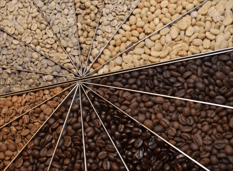 20200805_125701782_iOS