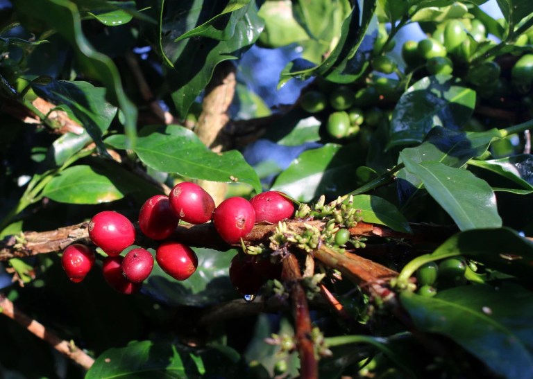 20200805_125811577_iOS