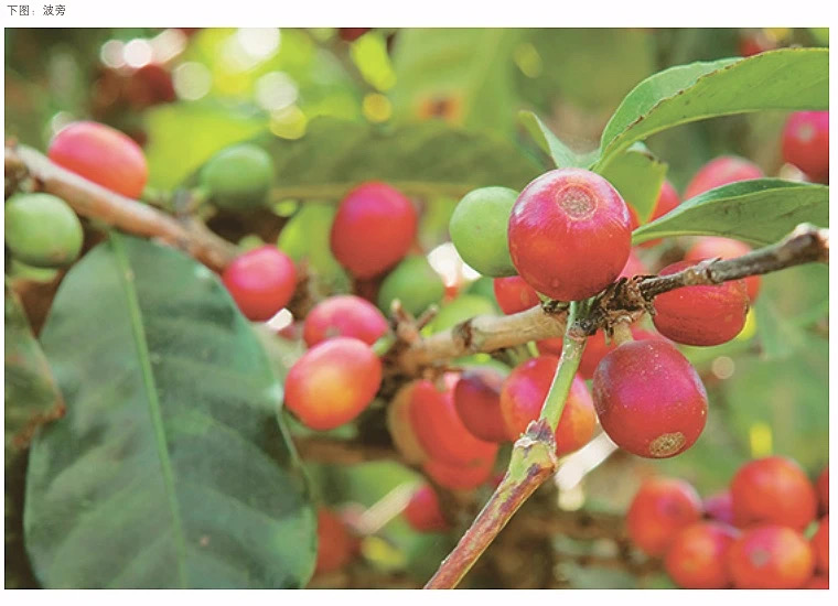 20200805_125814536_iOS