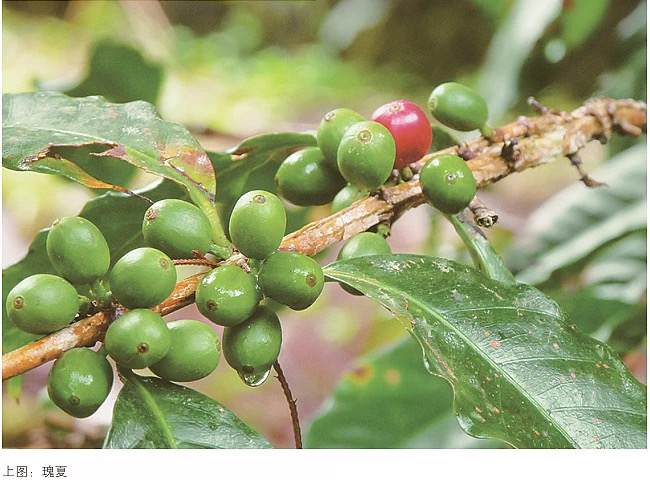 20200805_125823753_iOS