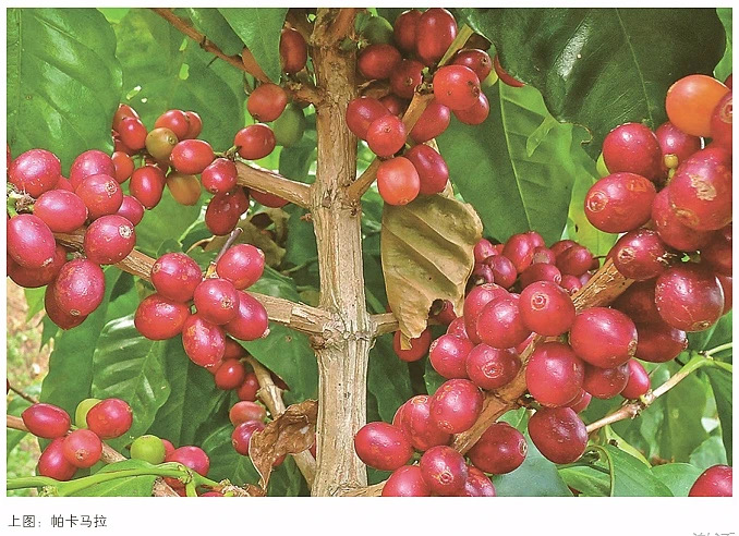 20200805_125826724_iOS