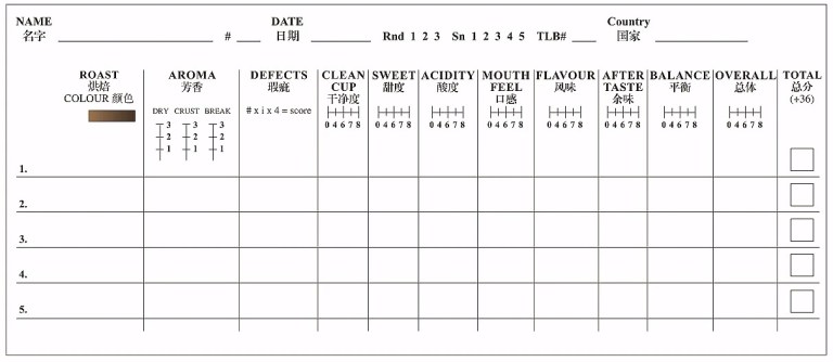 20200805_125958708_iOS