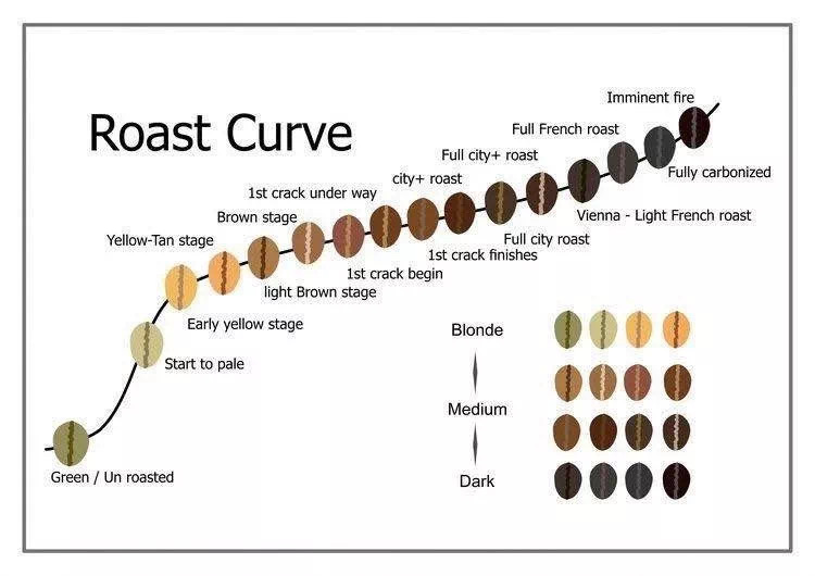 20200825_012555859_iOS