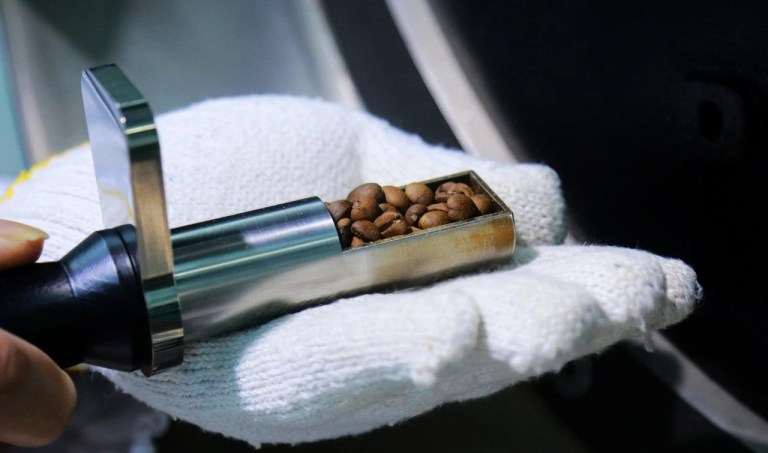 20200825_012559998_iOS