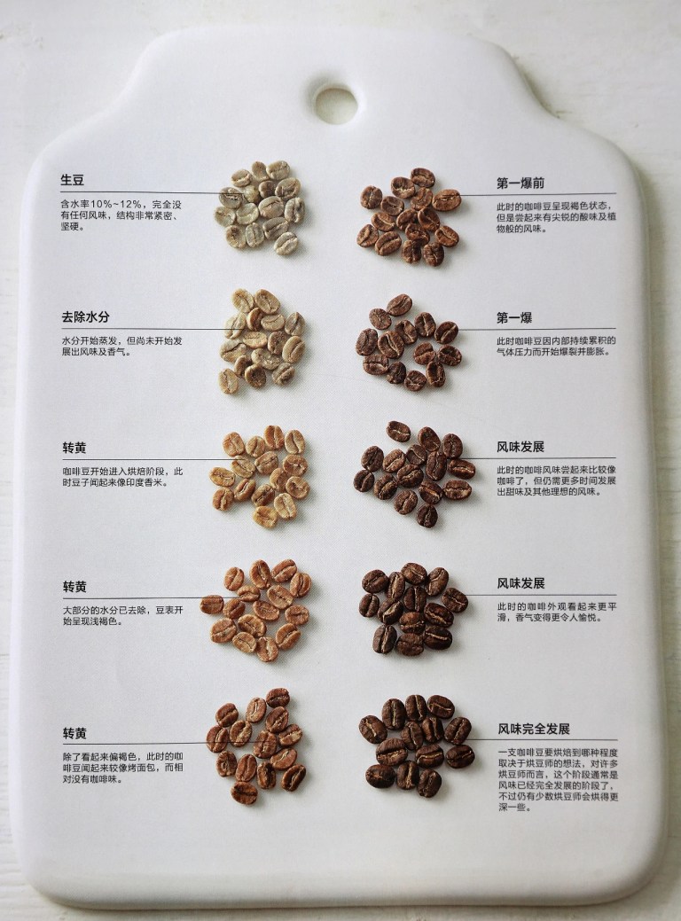 20200825_012616755_iOS