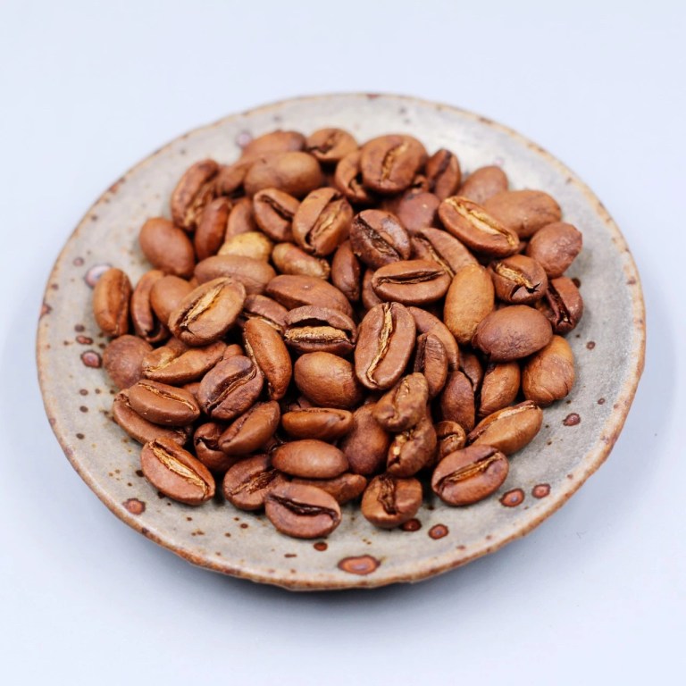 20200825_012621666_iOS