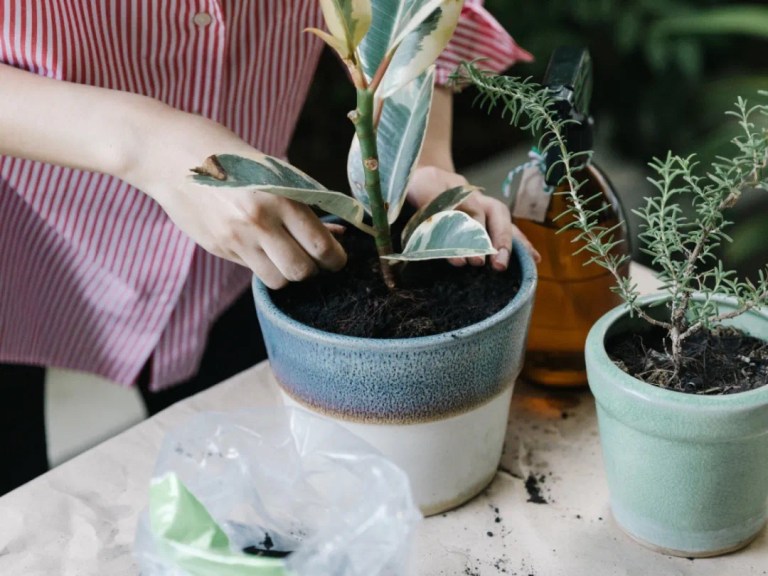 20200825_012924426_iOS