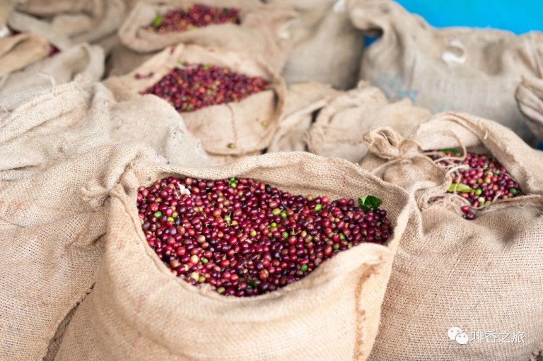 20200825_013105115_iOS