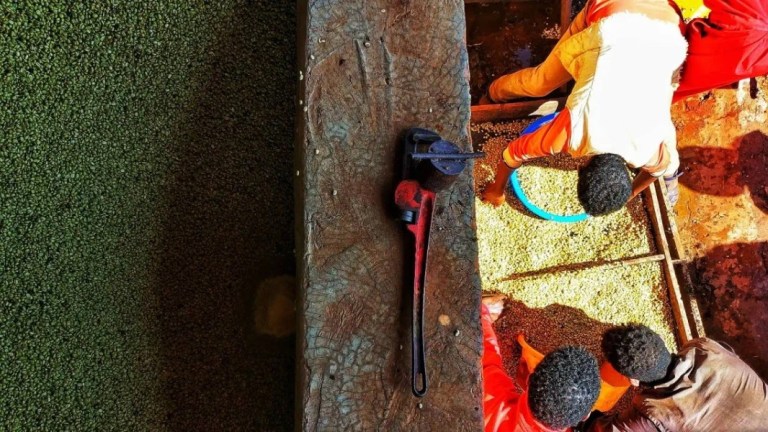 20200901_115302858_iOS