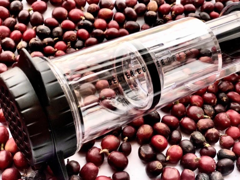 20200901_115355630_iOS