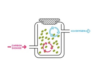 20201025_020127081_iOS