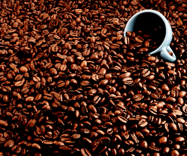 20201207_053141503_iOS