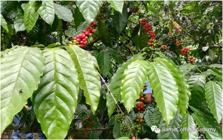 20201207_053201072_iOS