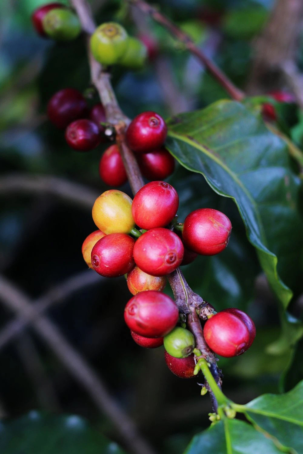 20201225_161144384_iOS