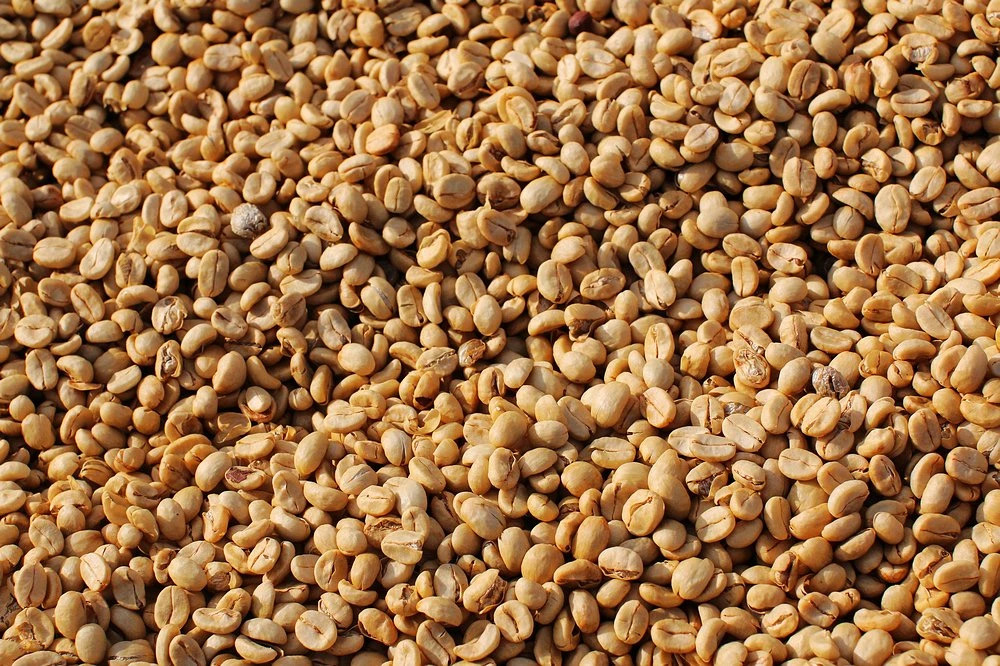 20201225_161150895_iOS