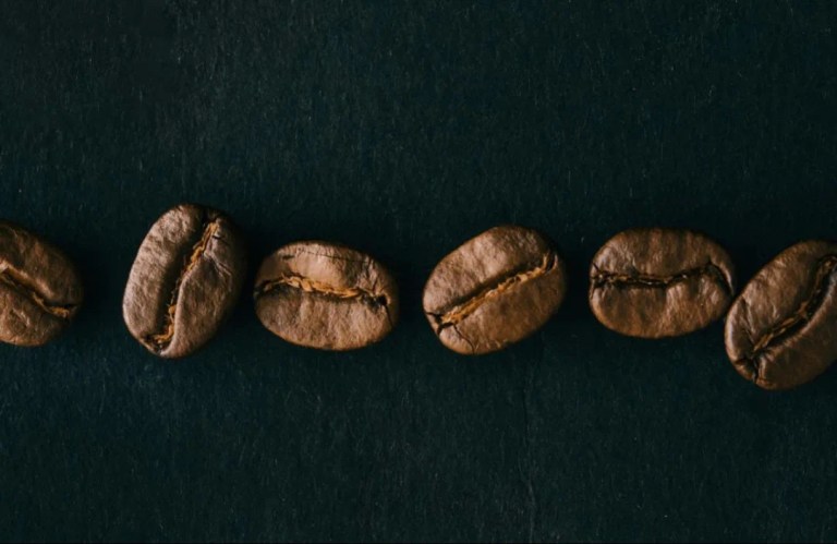 20201228_071324430_iOS