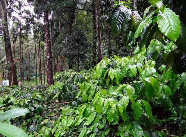 20201230_035944480_iOS