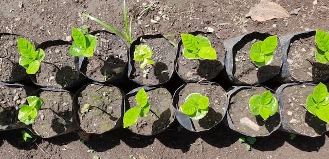 20201230_040048674_iOS