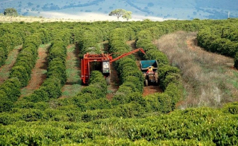 20201230_040101920_iOS