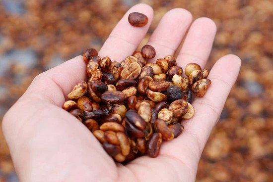 20201230_040114343_iOS