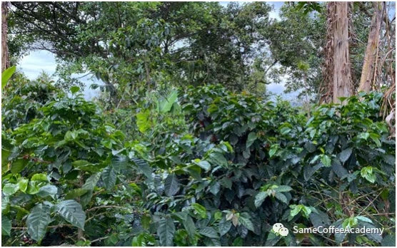 20210104_140005468_iOS