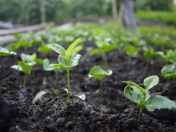 20210113_023526294_iOS