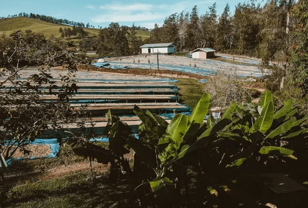 20210113_023529200_iOS