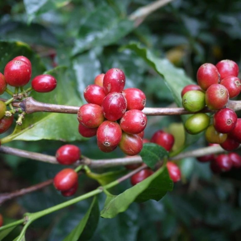 20210113_023534872_iOS