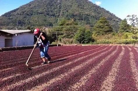 20210113_023537868_iOS