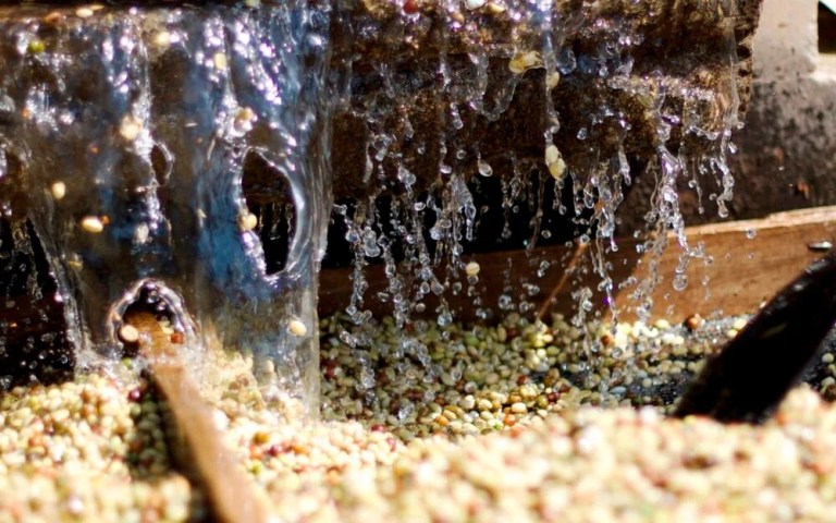 20210113_023541059_iOS