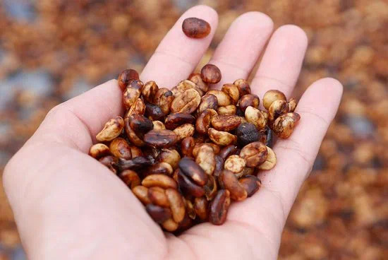 20210113_023544151_iOS