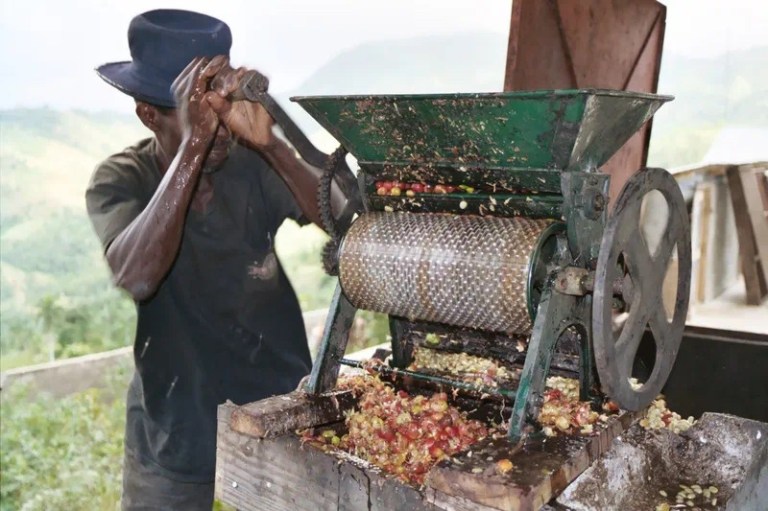 20210113_023547831_iOS