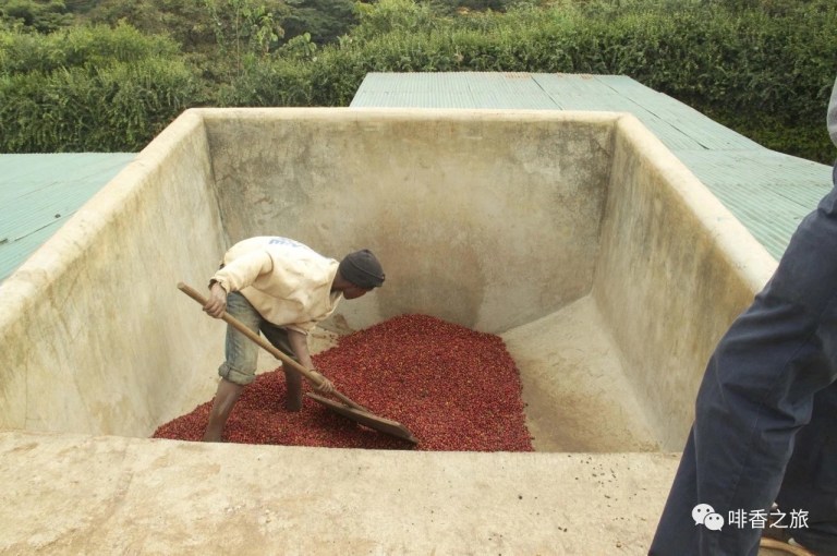 20210113_023617153_iOS