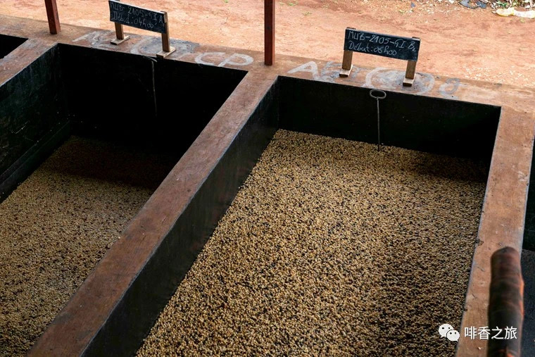 20210113_023626353_iOS