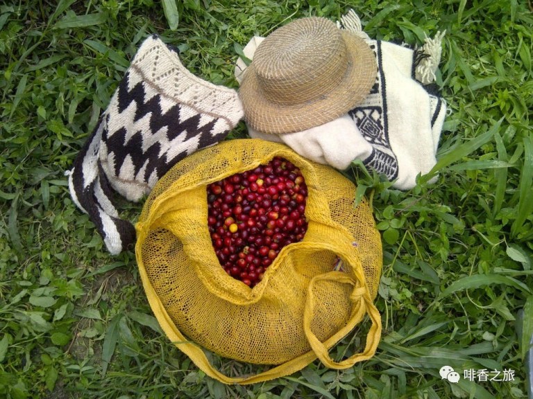 20210113_023629388_iOS