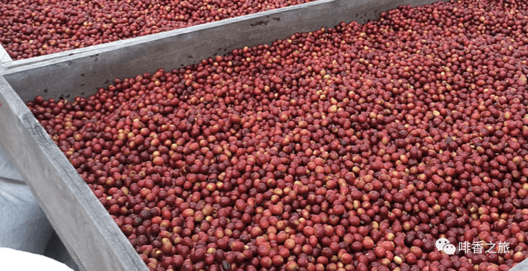 20210113_023632879_iOS