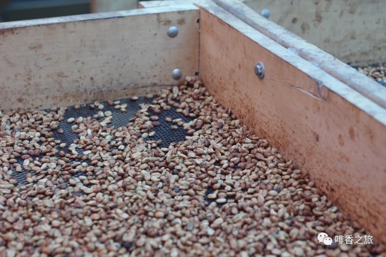 20210113_023639957_iOS