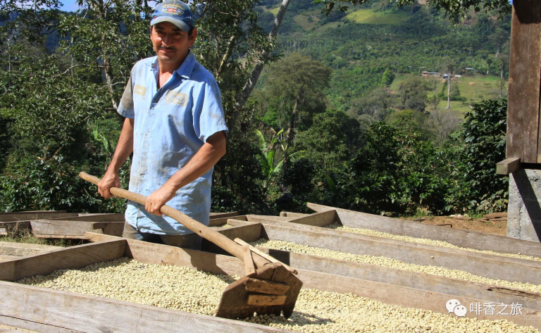 20210113_023646604_iOS