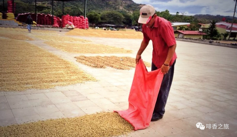 20210113_023650103_iOS