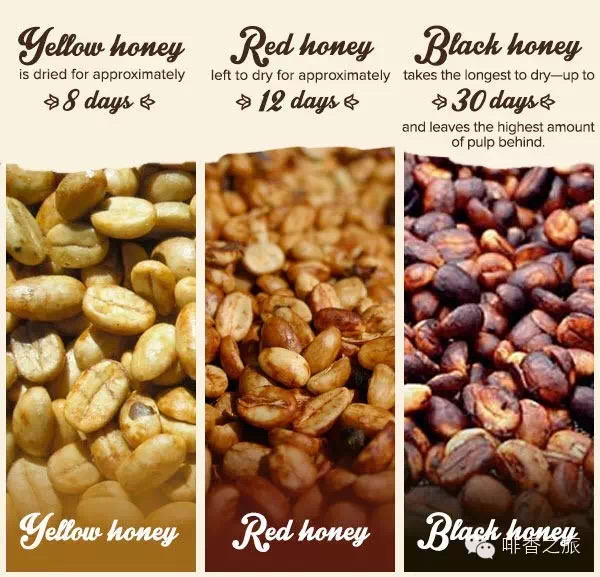 20210113_023656818_iOS