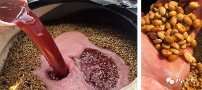 20210113_023702967_iOS