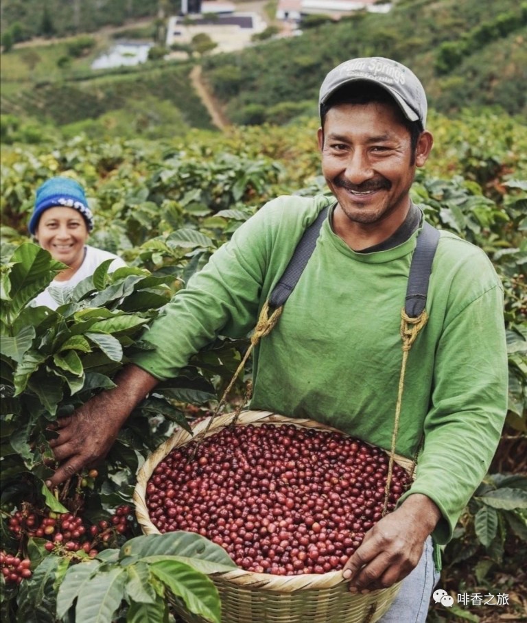 20210113_023709499_iOS