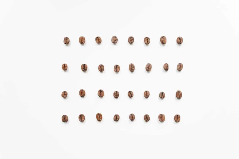 20210113_023754603_iOS