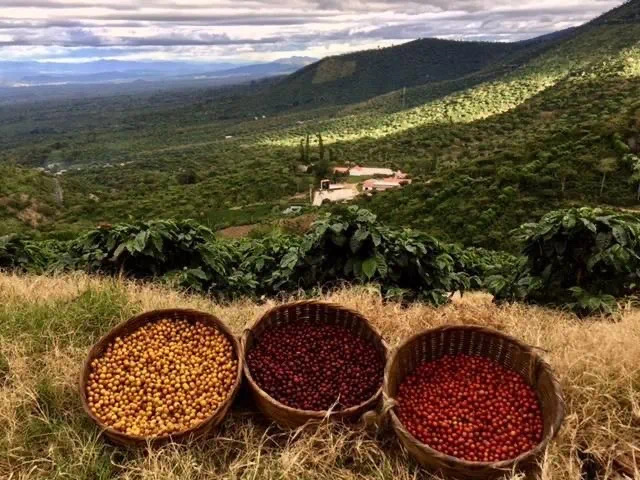 20210113_023833570_iOS