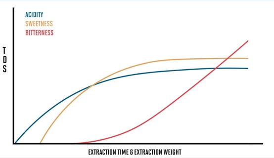 20210113_023921952_iOS